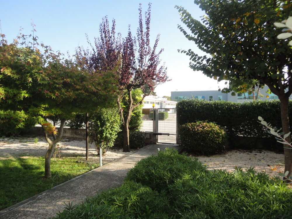 immagine annuncio 1 di 4