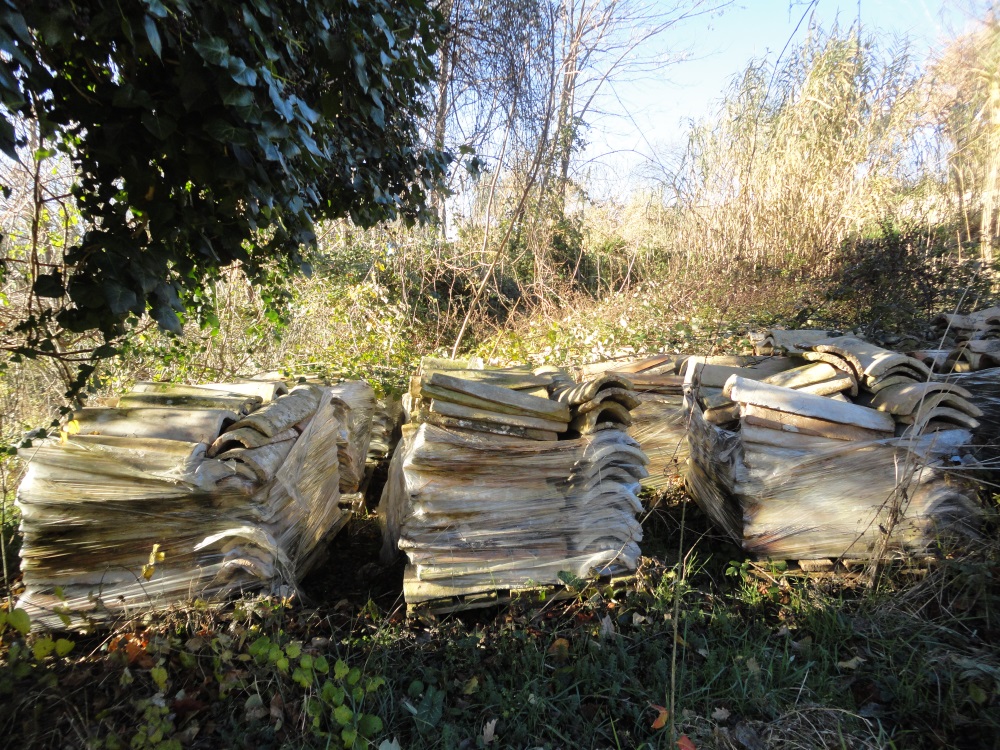 Terreno edificabile in vendita a Cingoli