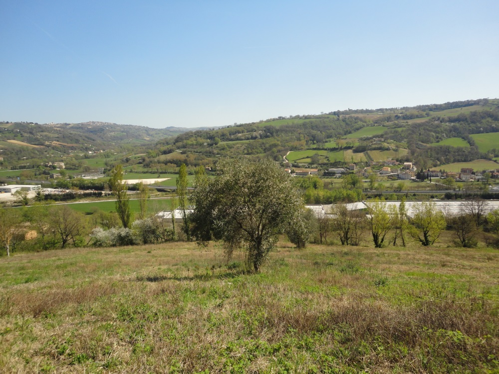 Terreno edificabile in vendita a Mergo