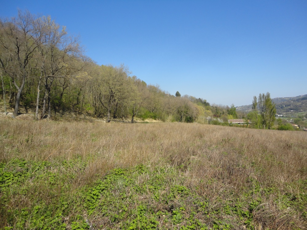 Terreno edificabile in vendita a Mergo