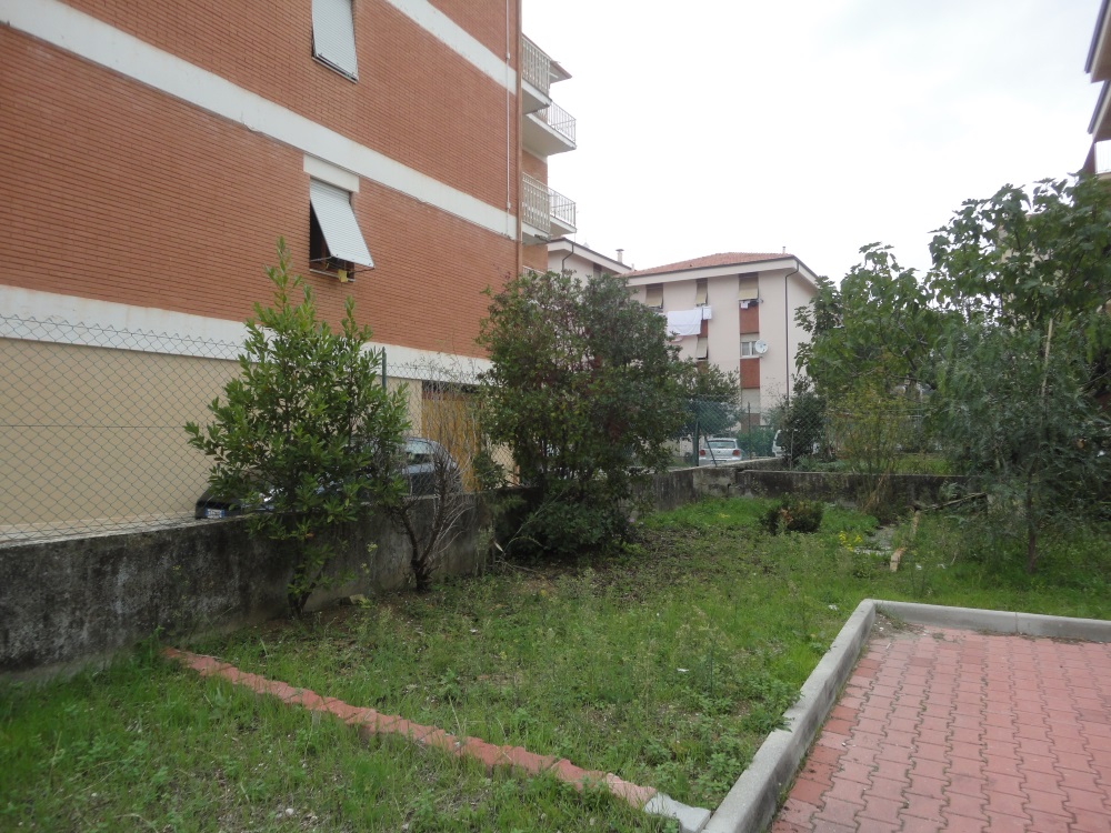 immagine annuncio 3 di 8