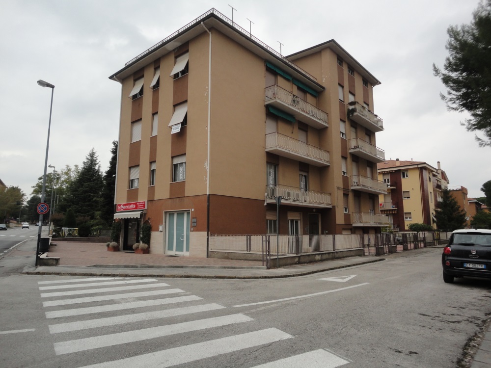 immagine annuncio 5 di 8