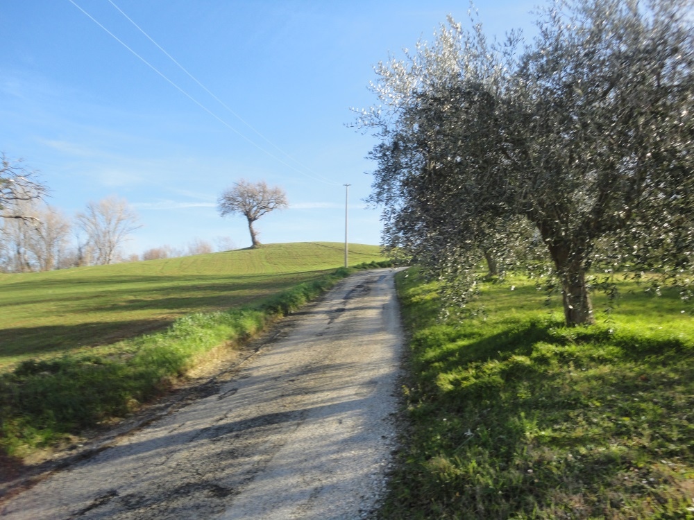 Casa in pietra con terreno in vendita a Poggio San Marcello