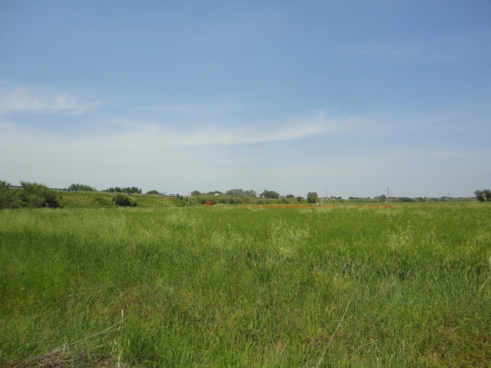 Terreno Agricolo in vendita a Jesi