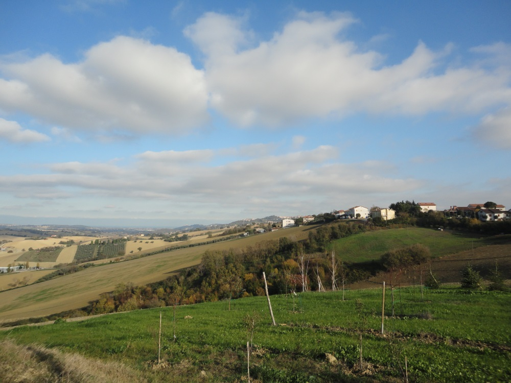 Casa da ristrutturare (in campagna) in vendita a Recanati