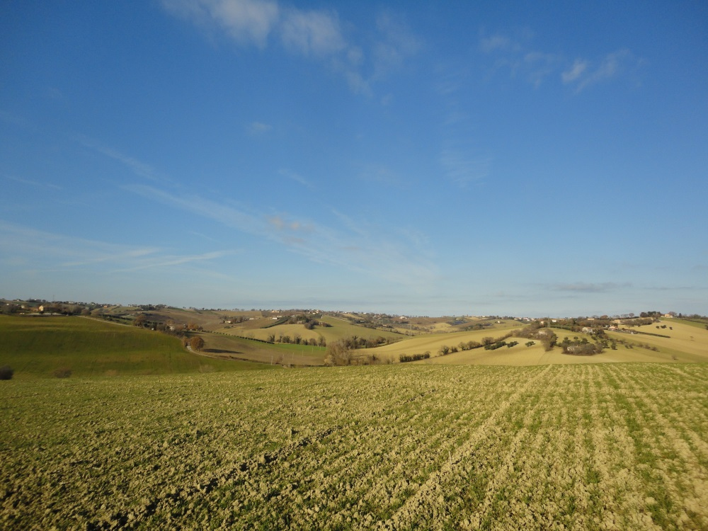 Casa da ristrutturare (in campagna) in vendita a San Marcello
