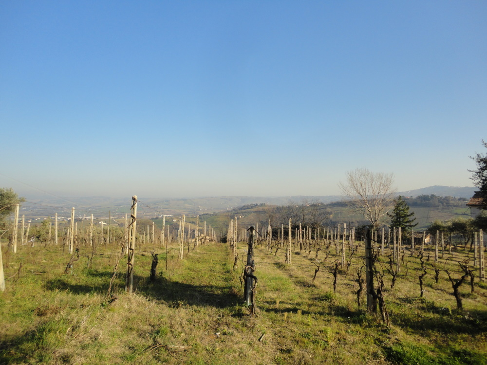 Casa in pietra con terreno in vendita a Monte Roberto