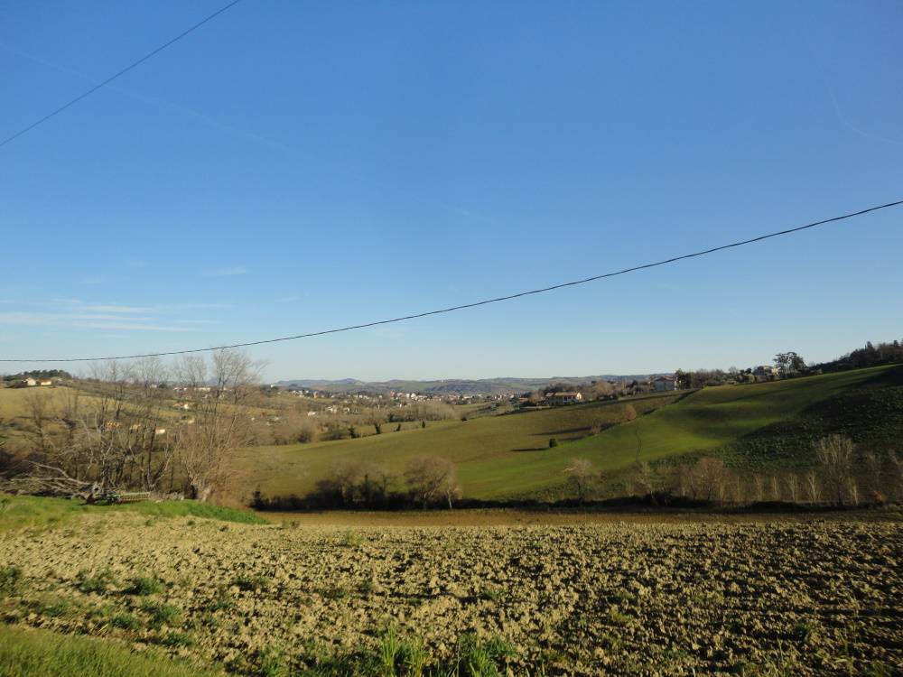 immagine annuncio 4 di 8