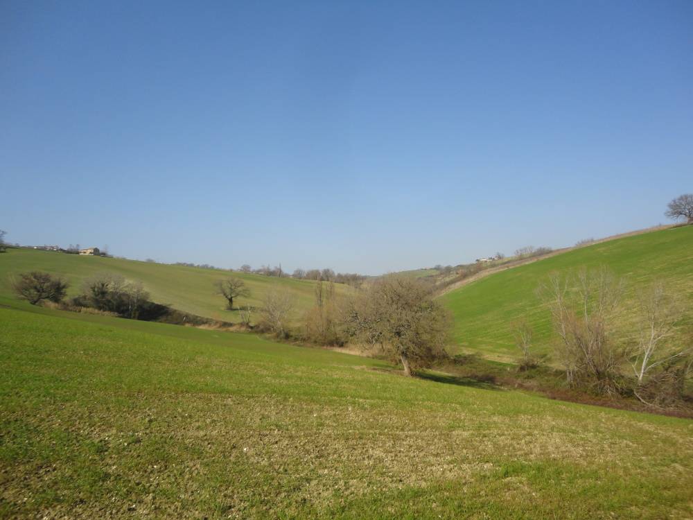 Casa da ristrutturare (in campagna) in vendita a Staffolo