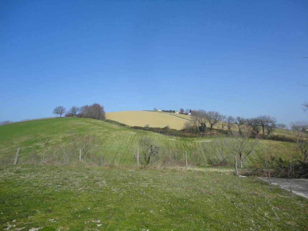 Casa da ristrutturare (in campagna) in vendita a Staffolo