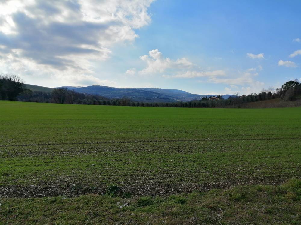 Casa da ristrutturare (in campagna) in vendita a Staffolo