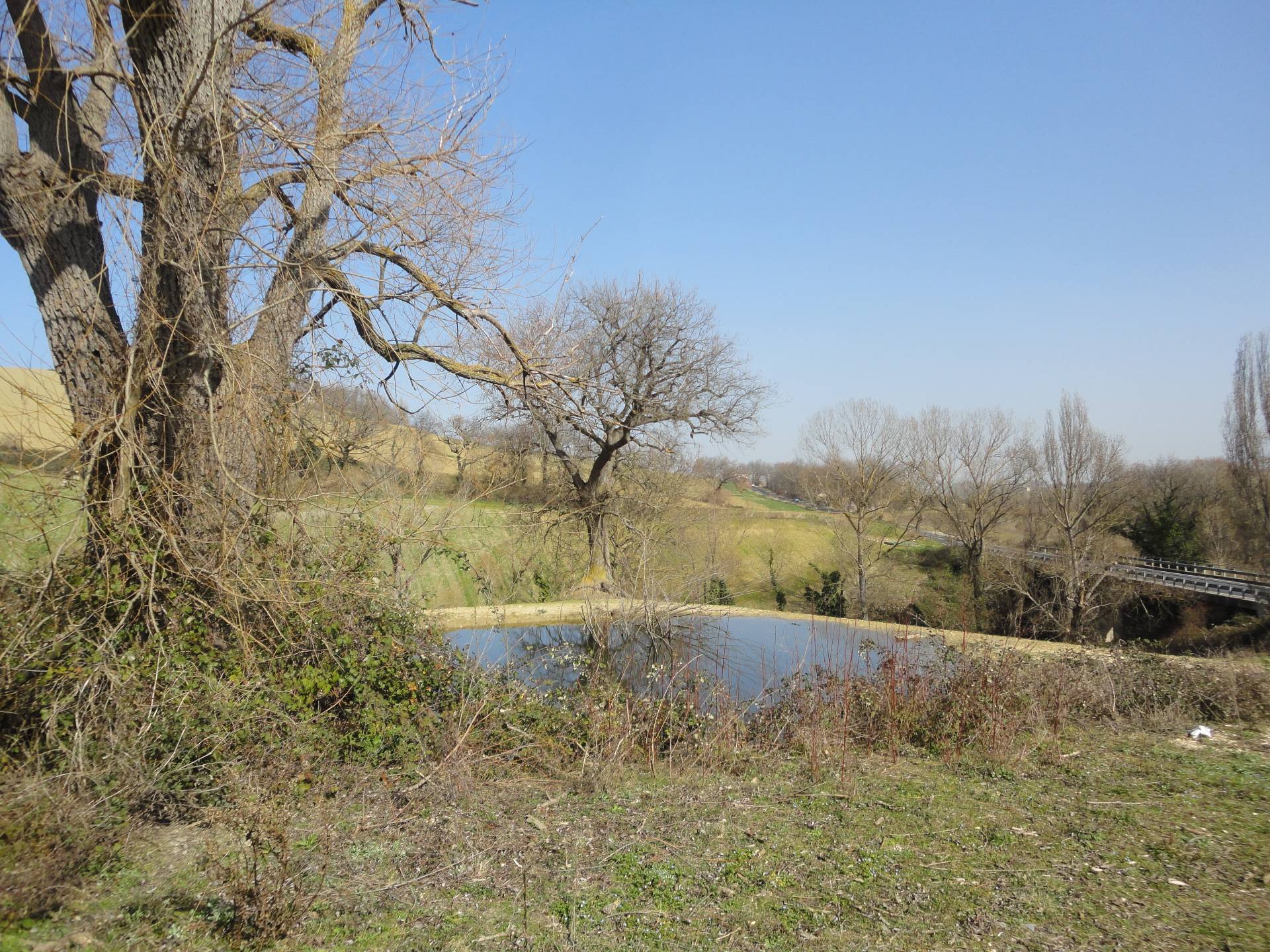 Casa da ristrutturare (in campagna) in vendita a Staffolo