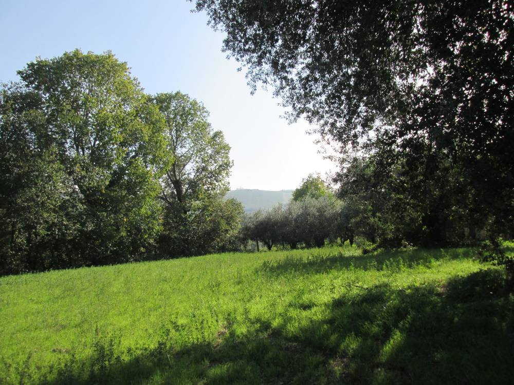 Casa in pietra con terreno in vendita a Jesi