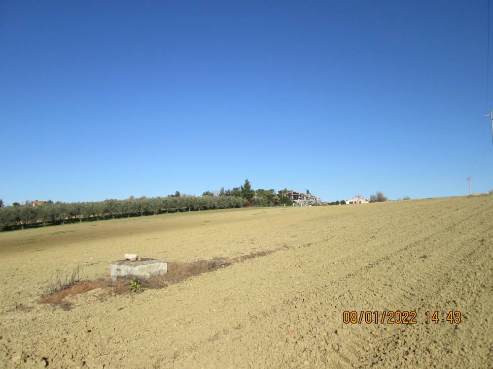 Terreno Agricolo in vendita a Jesi