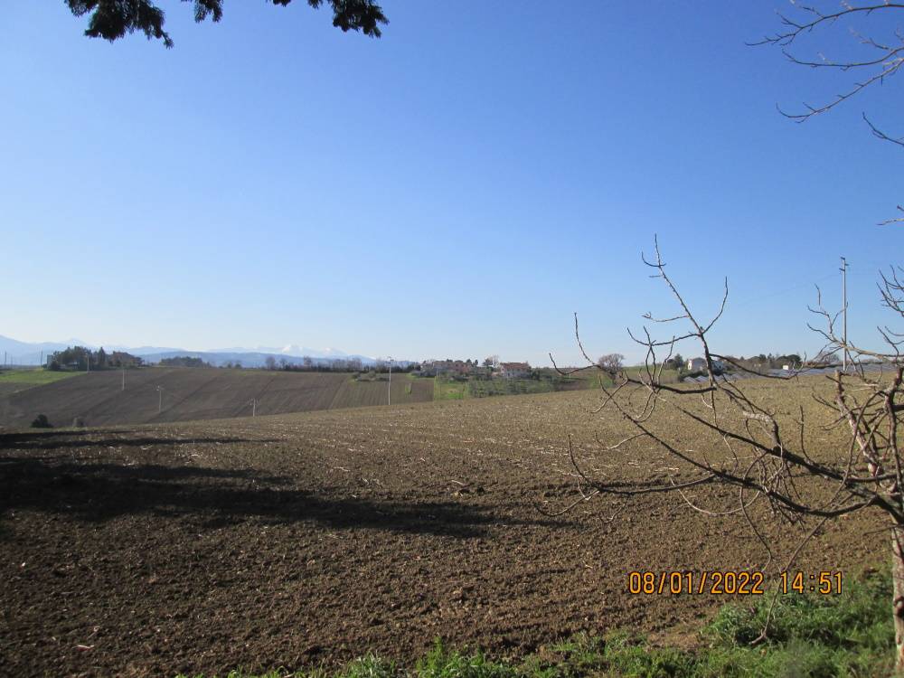 Terreno Agricolo in vendita a Jesi