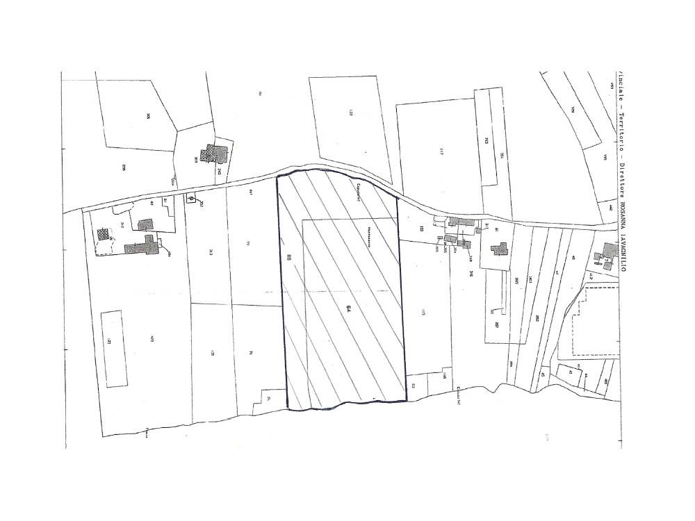 Terreno Agricolo in vendita a Jesi