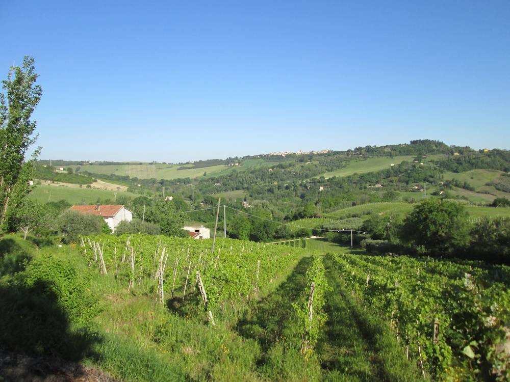 Casa in pietra con terreno in vendita a Cupramontana