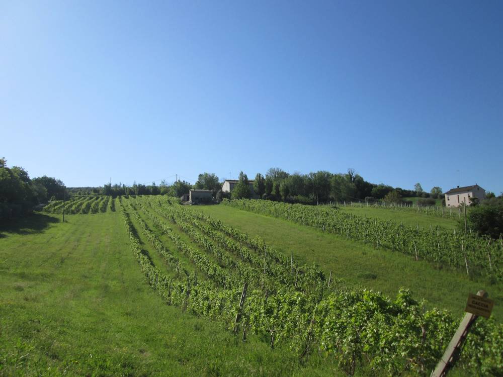 Casa in pietra con terreno in vendita a Cupramontana