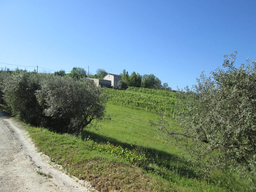 Casa in pietra con terreno in vendita a Cupramontana