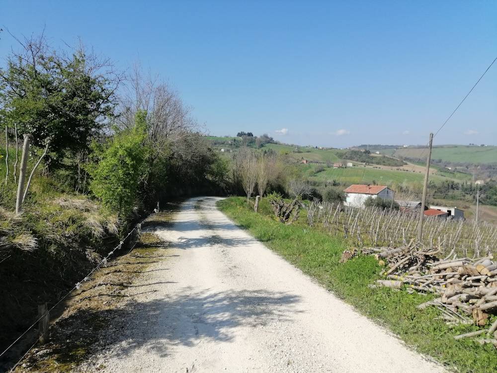 Casa in pietra con terreno in vendita a Cupramontana