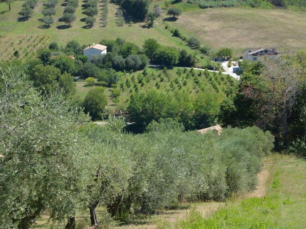 Casa in pietra con terreno in vendita a Castelplanio