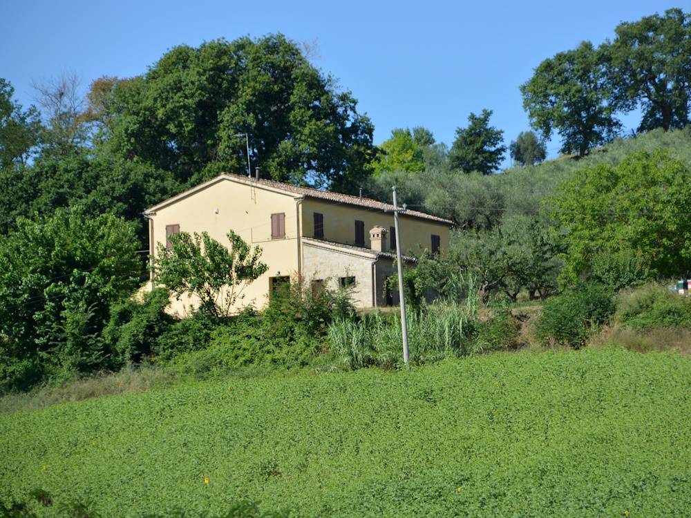 Casa in pietra con terreno in vendita a Castelplanio