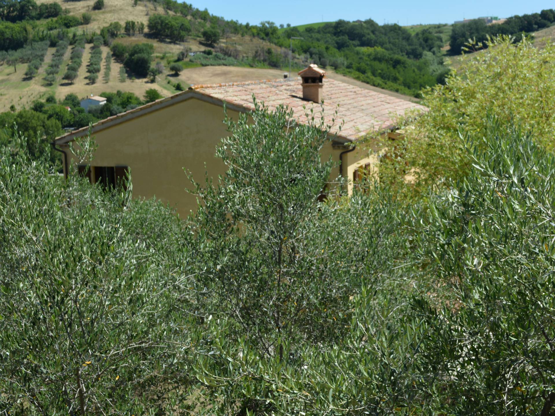 Casa in pietra con terreno in vendita a Castelplanio