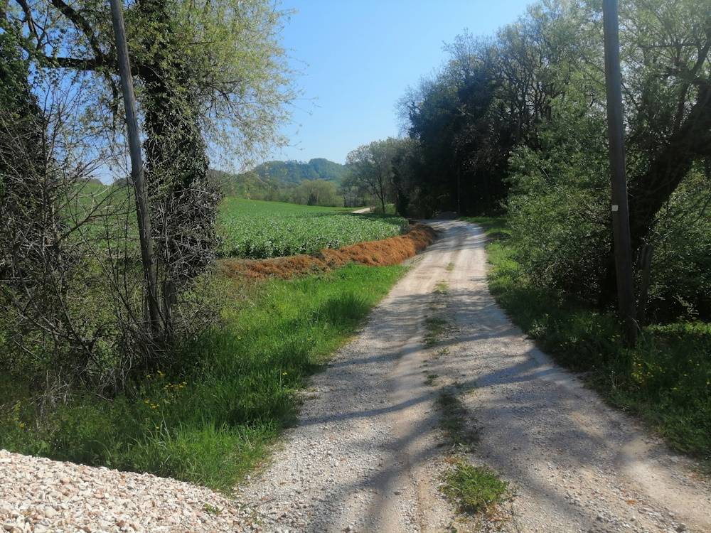 Casa in pietra con terreno in vendita a Sassoferrato