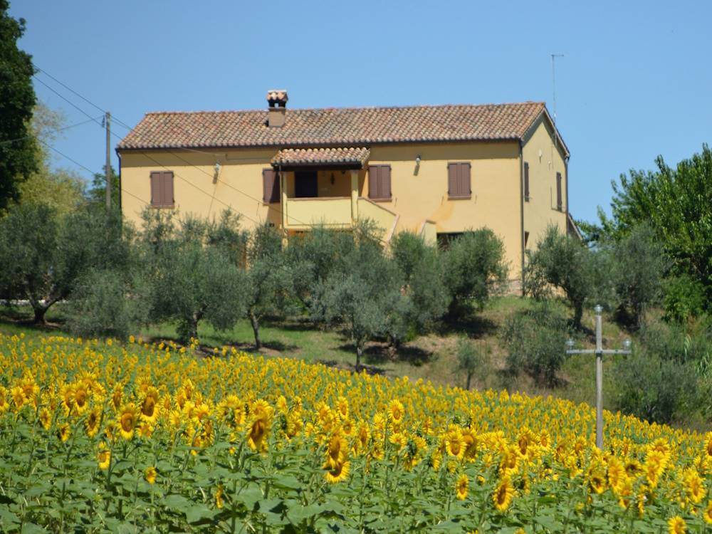 Villa in campagna in vendita a Castelplanio