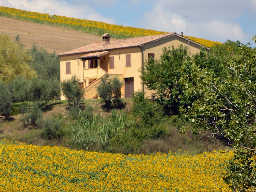 Villa in campagna in vendita a Castelplanio