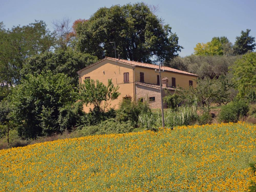 Villa in campagna in vendita a Castelplanio