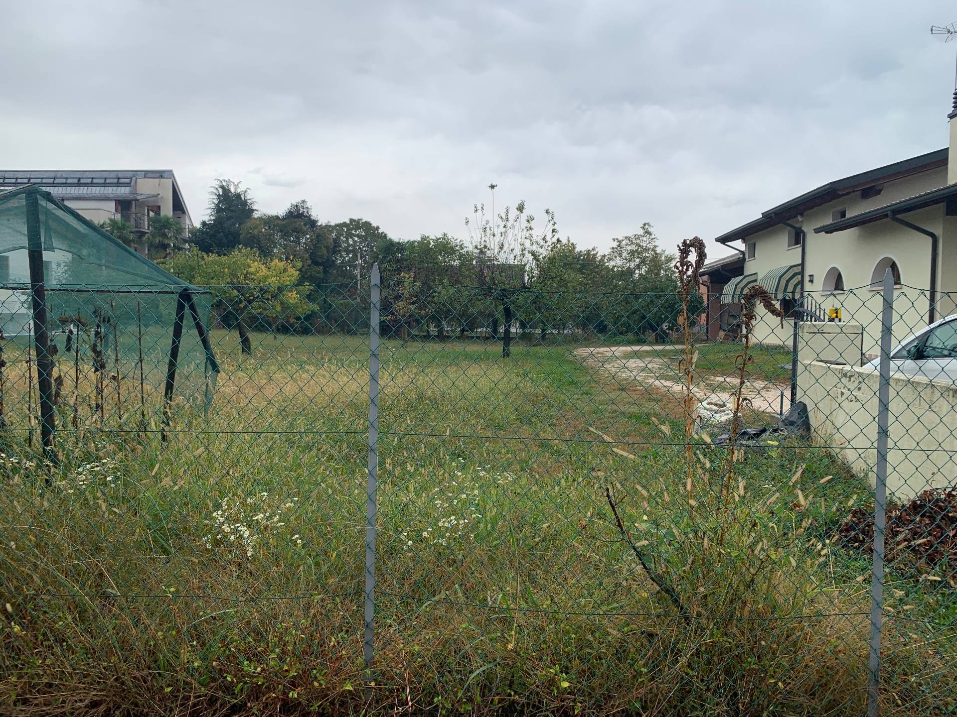 immagine annuncio 3 di 4