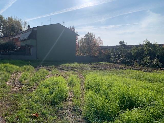 immagine annuncio 2 di 7