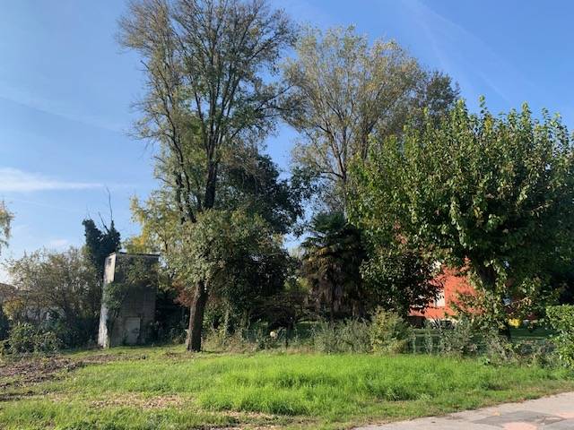 immagine annuncio 3 di 7