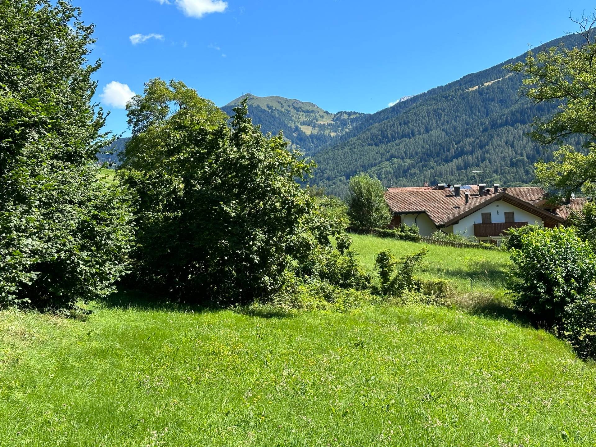 Terreno edificabile in vendita a Strembo