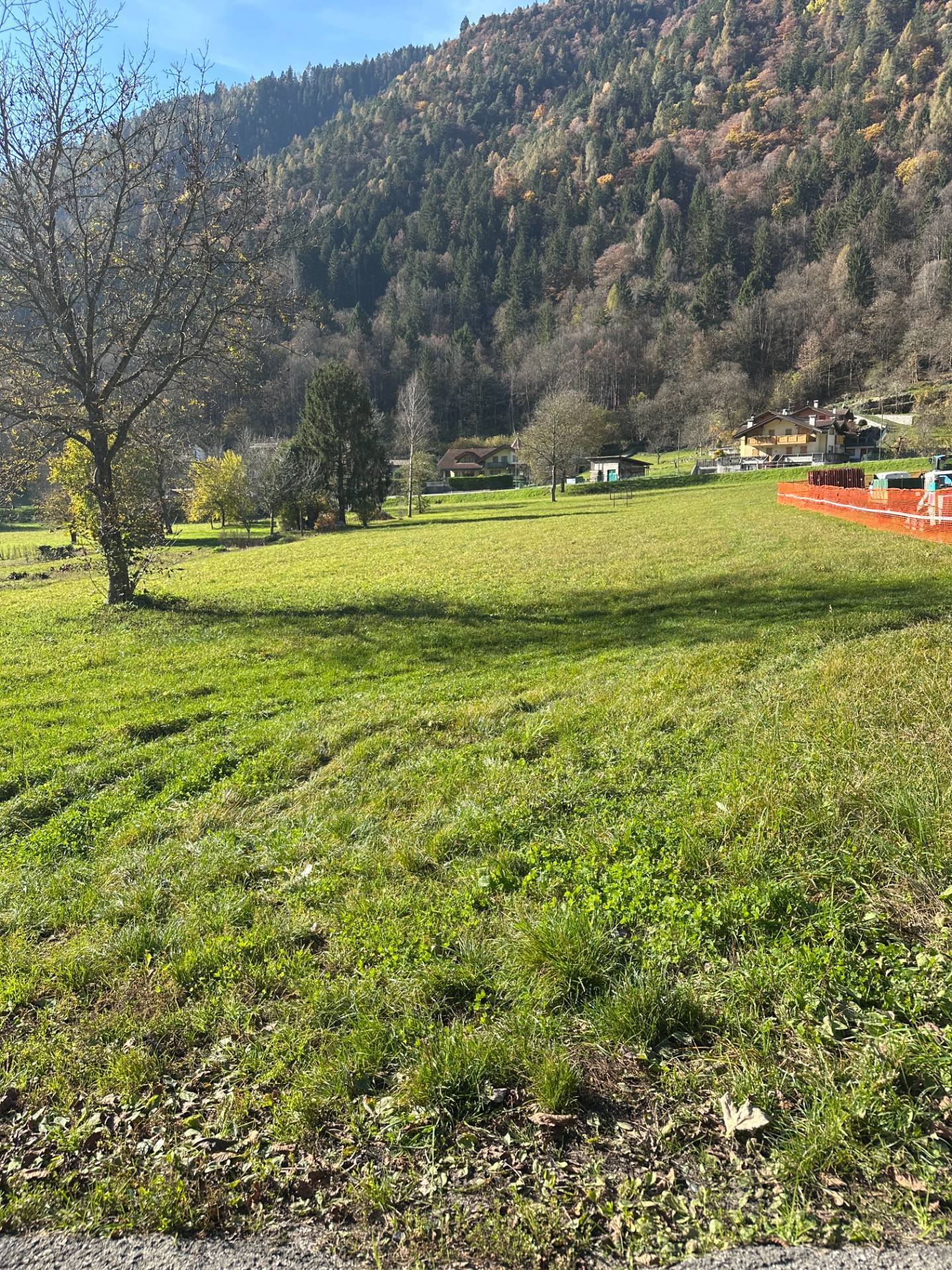 Terreno edificabile in vendita a Pelugo