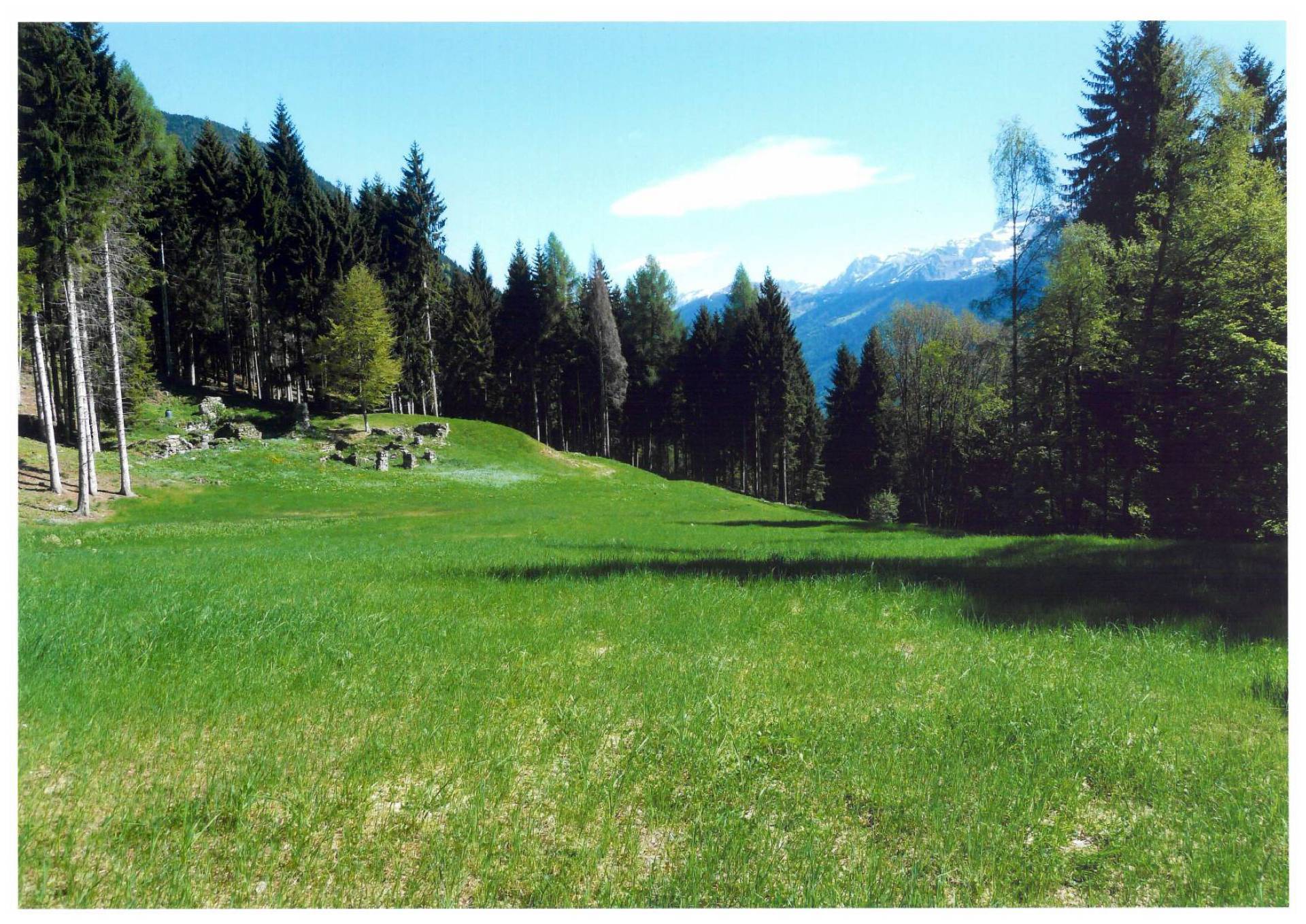 Baita in vendita a Pelugo