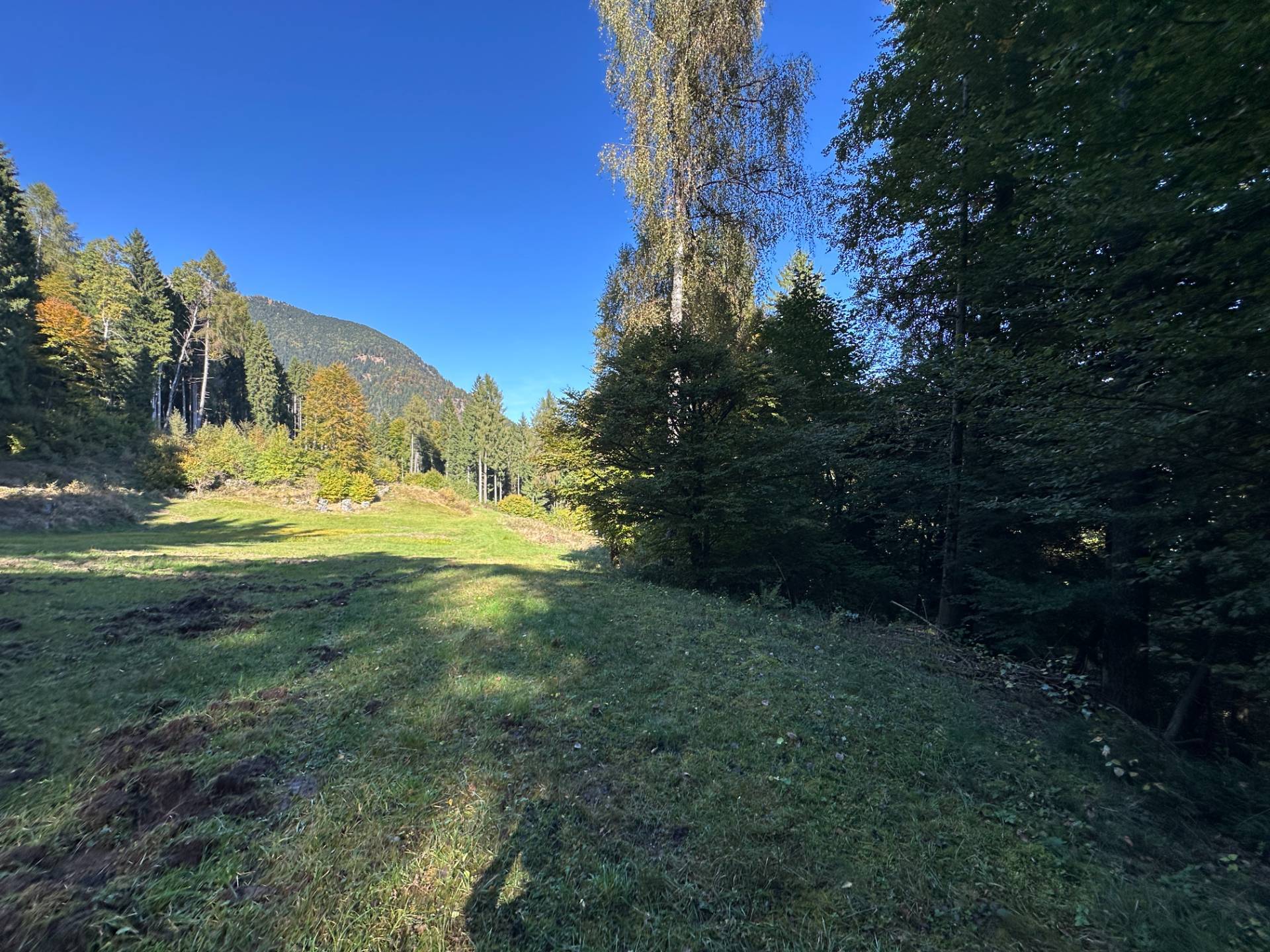 Baita in vendita a Pelugo