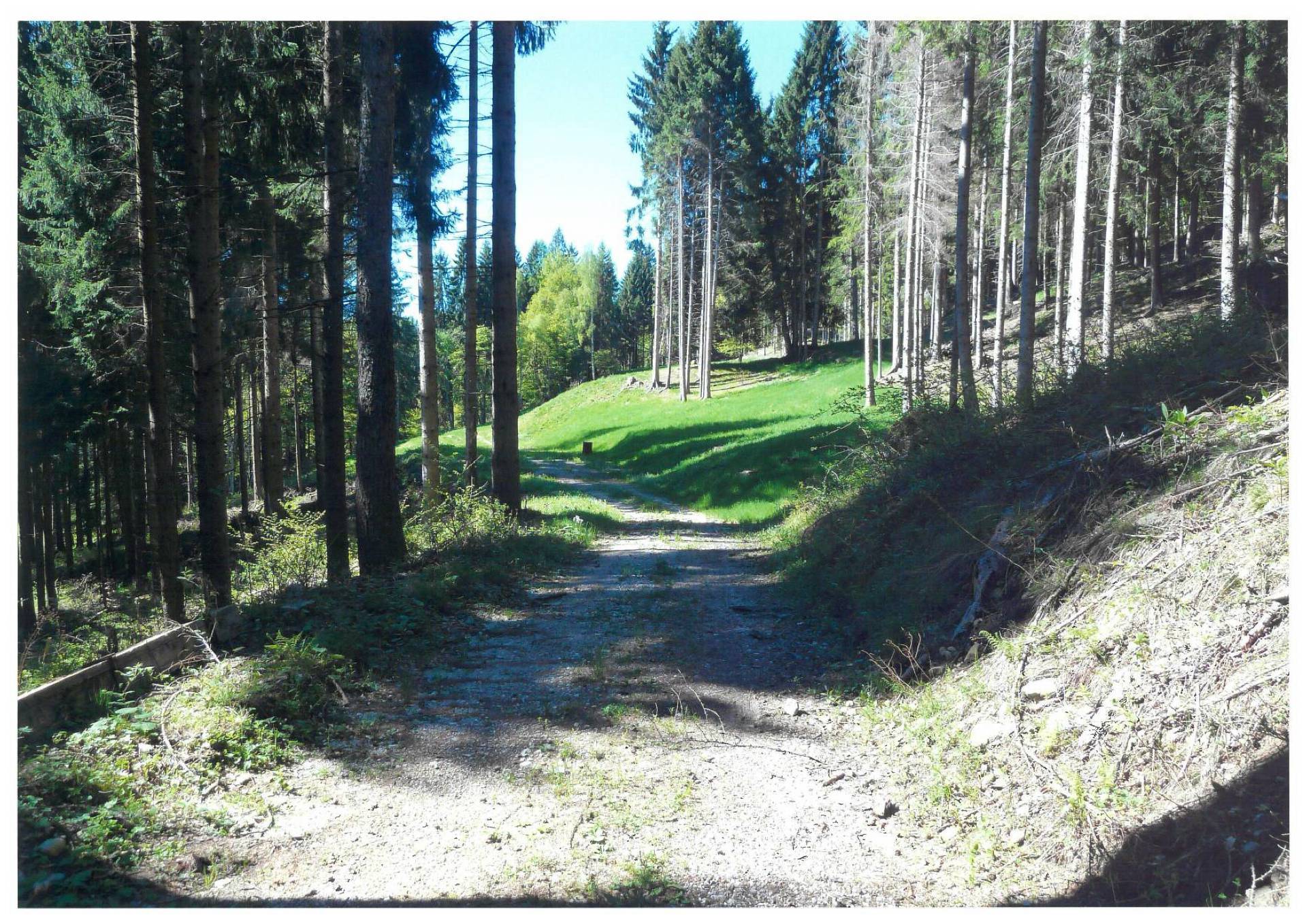 Baita in vendita a Pelugo