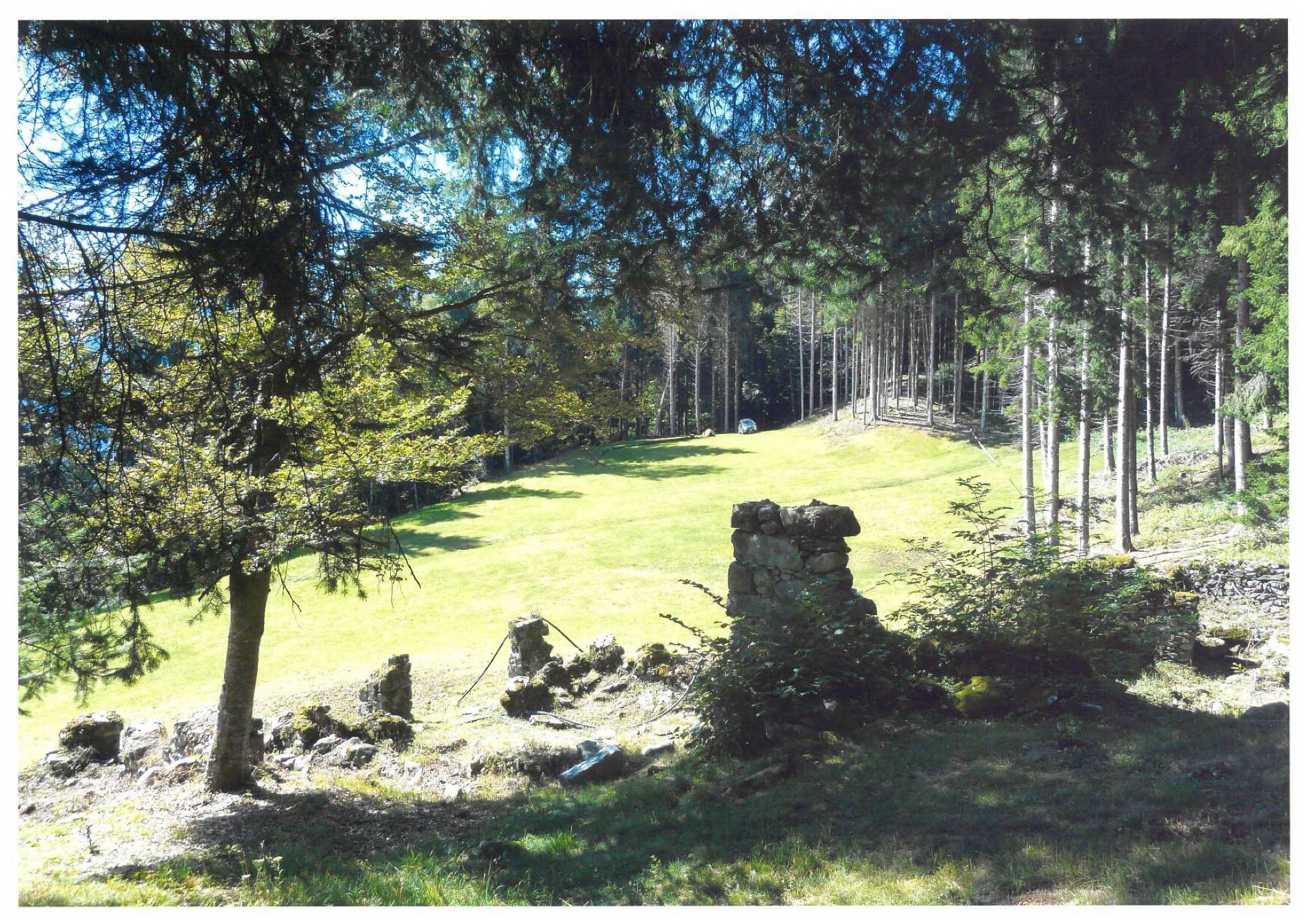 Baita in vendita a Pelugo