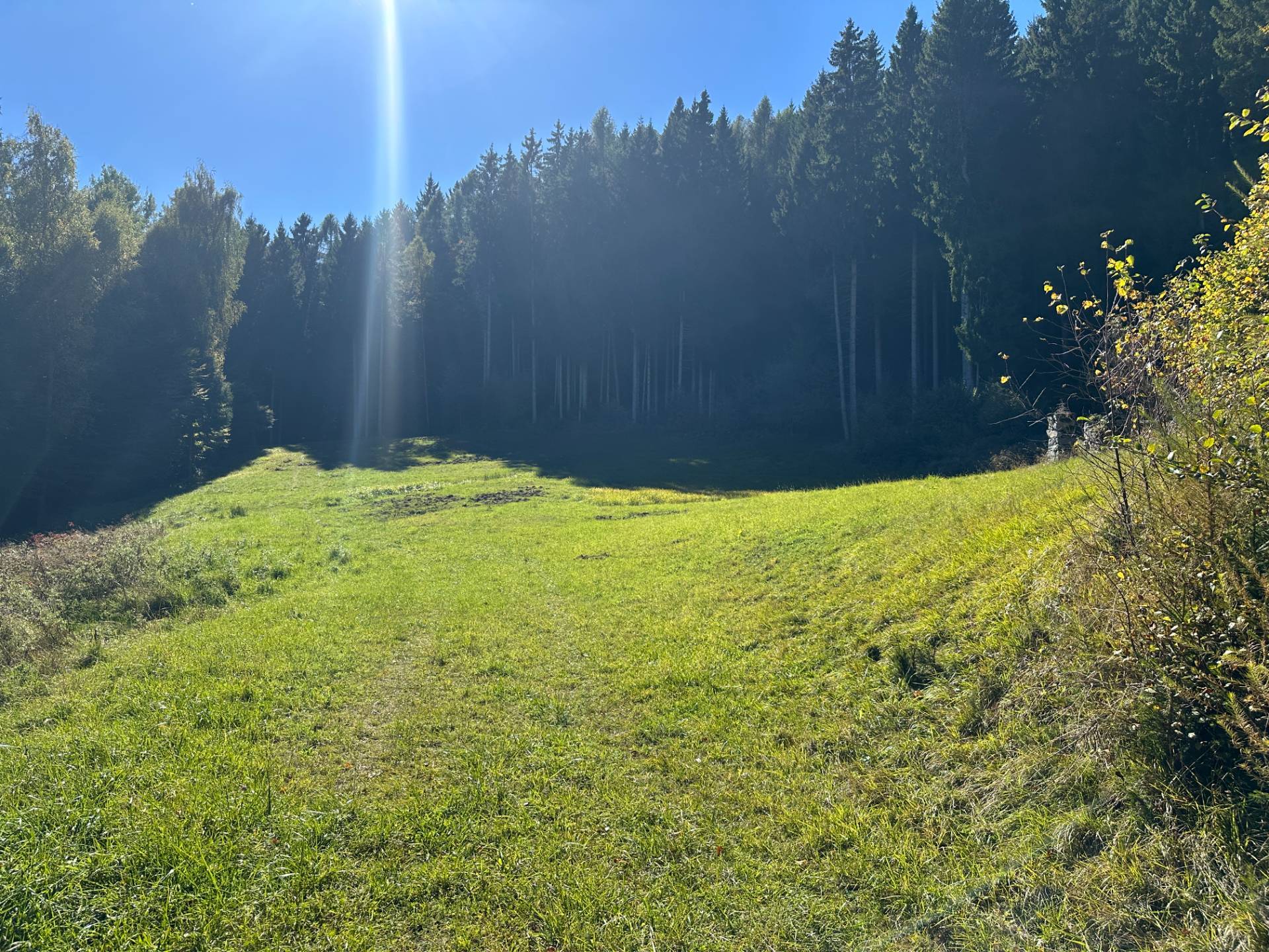 Baita in vendita a Pelugo