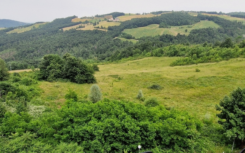 Terreno in vendita a Zocca