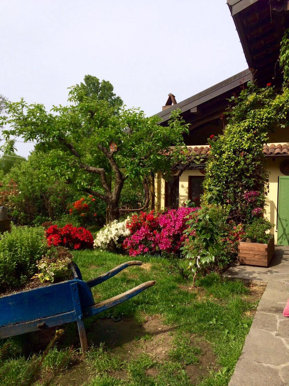 Rustico/Casale/Corte in vendita a Agrate Conturbia, Conturbia