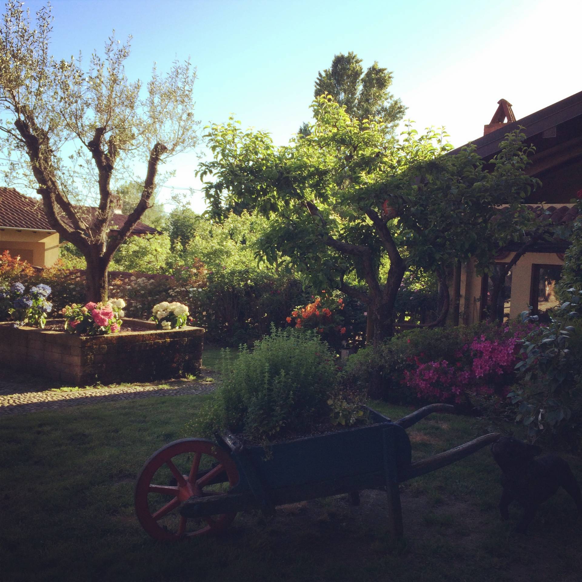 Rustico/Casale/Corte in vendita a Agrate Conturbia, Conturbia