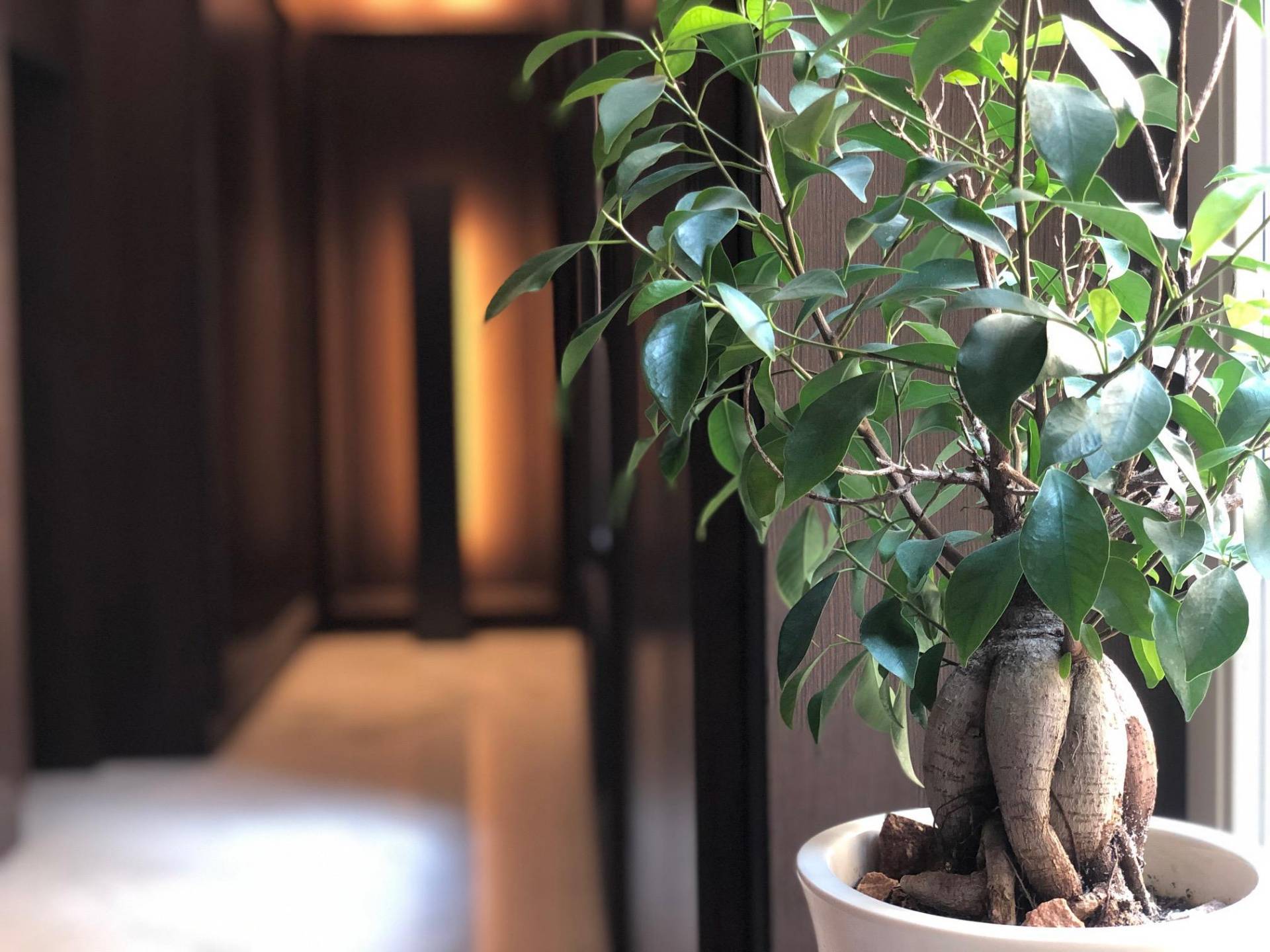 1 locale in affitto a Milano, DUOMO