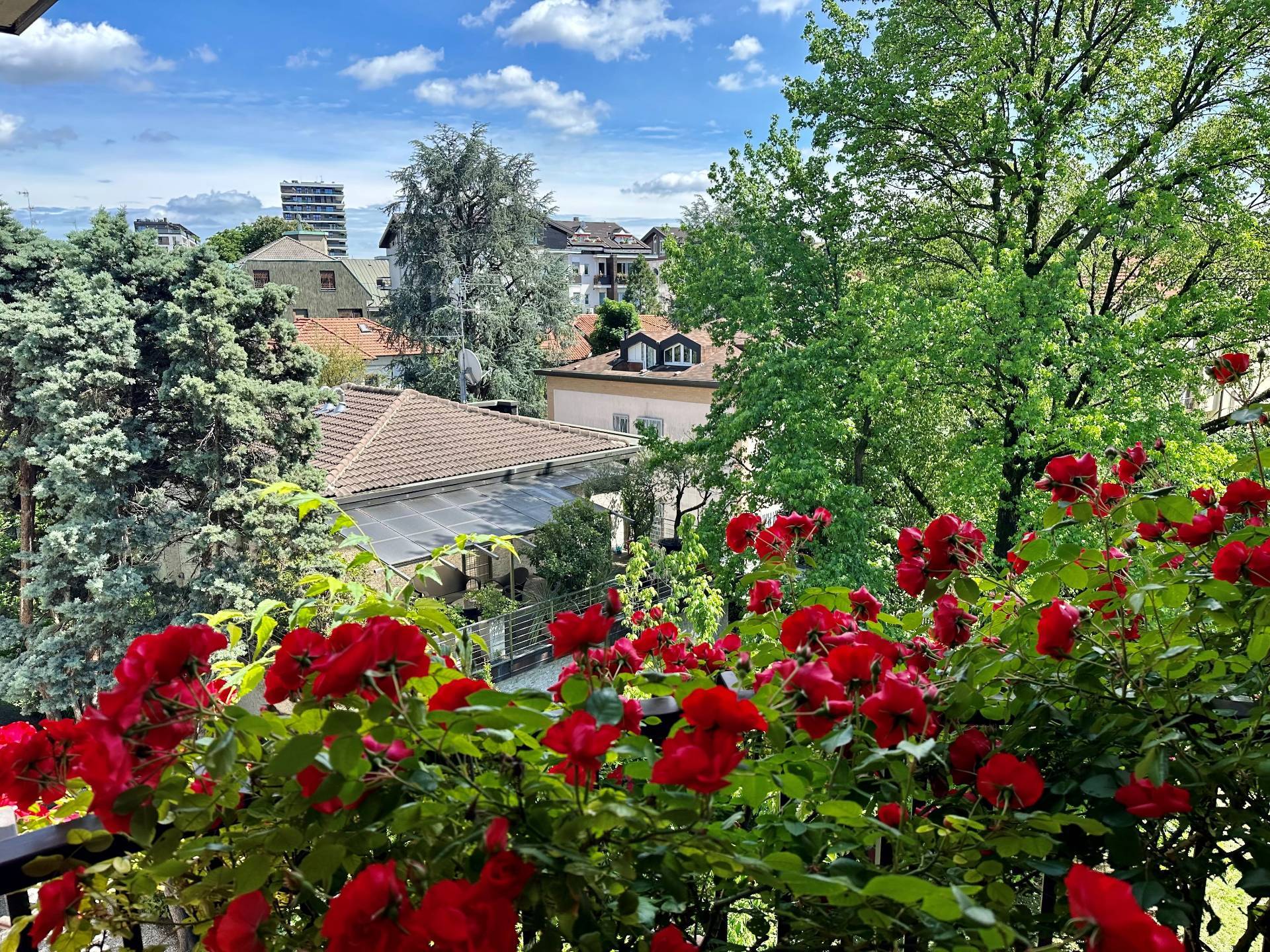 Attico in affitto a Milano, Maggiolina