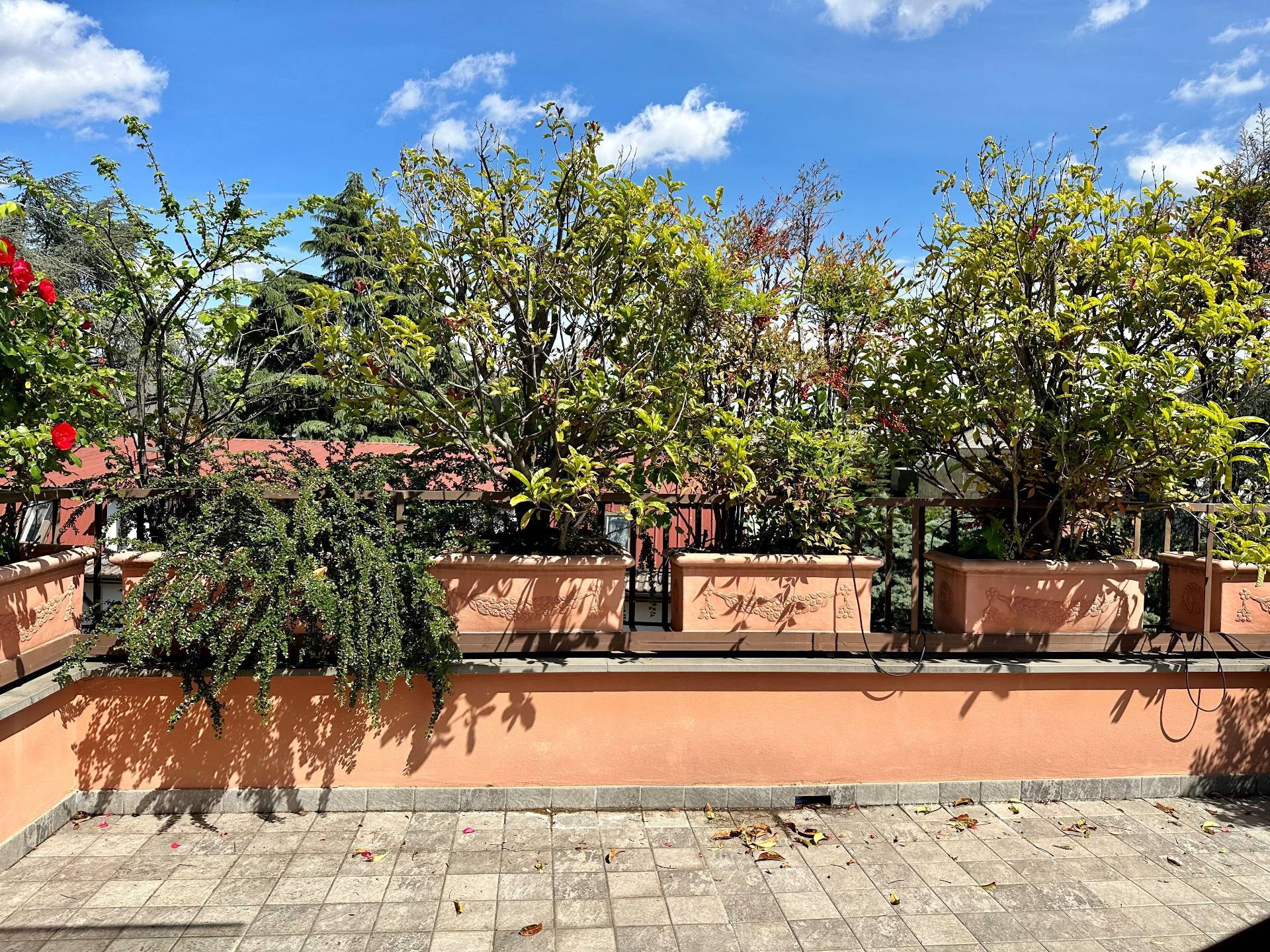 Attico in affitto a Milano, Maggiolina