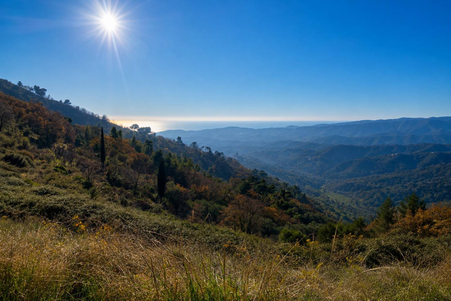 Rustico/Casale/Corte in vendita a Imperia, Montegrazie