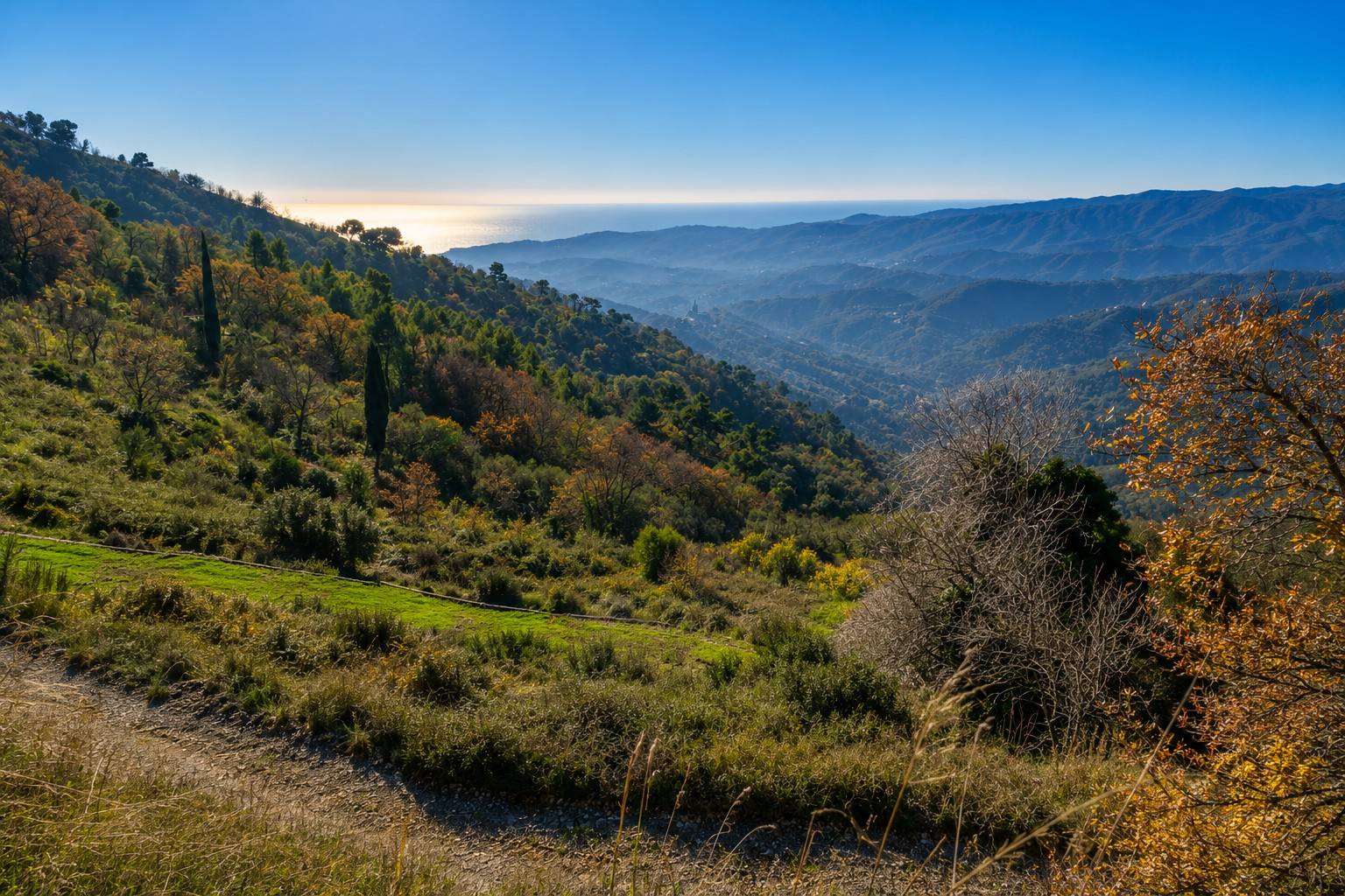 Rustico/Casale/Corte in vendita a Imperia, Montegrazie