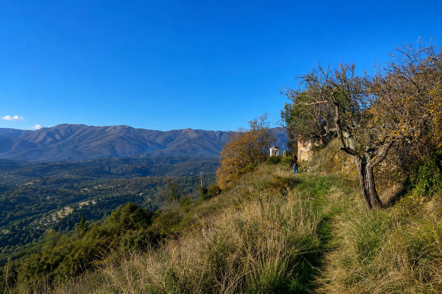 Rustico/Casale/Corte in vendita a Imperia, Montegrazie